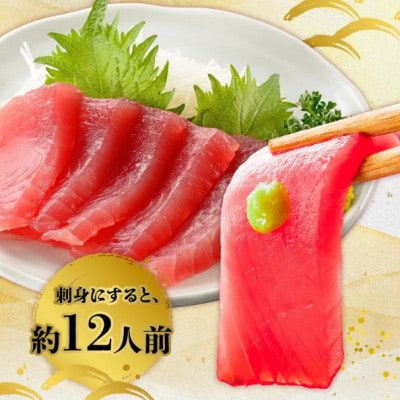 鹿児島近海キハダマグロ1尾 008-57【配送不可地域：離島】