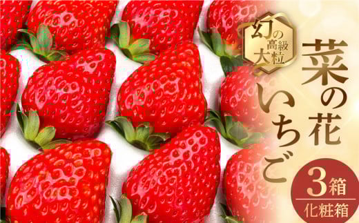 先行予約 2026年1月～発送開始 菜の花いちご　3箱(8粒～12粒入) 大粒