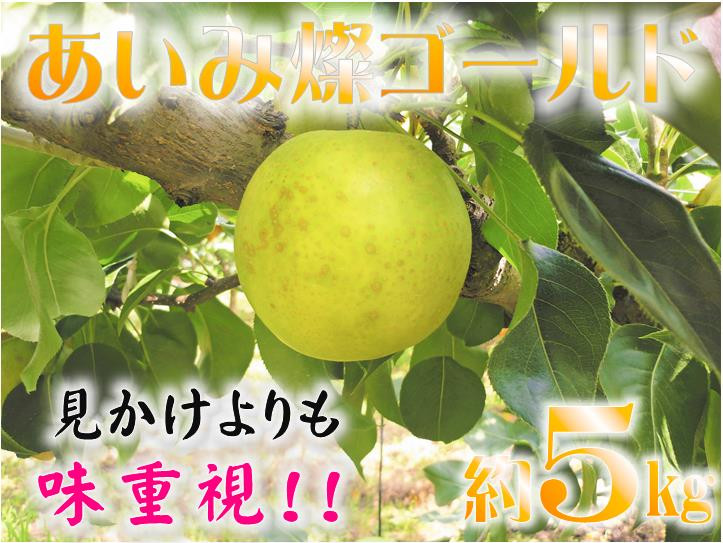 
            鳥取県産梨「あいみ燦ゴールド」5kg
          
