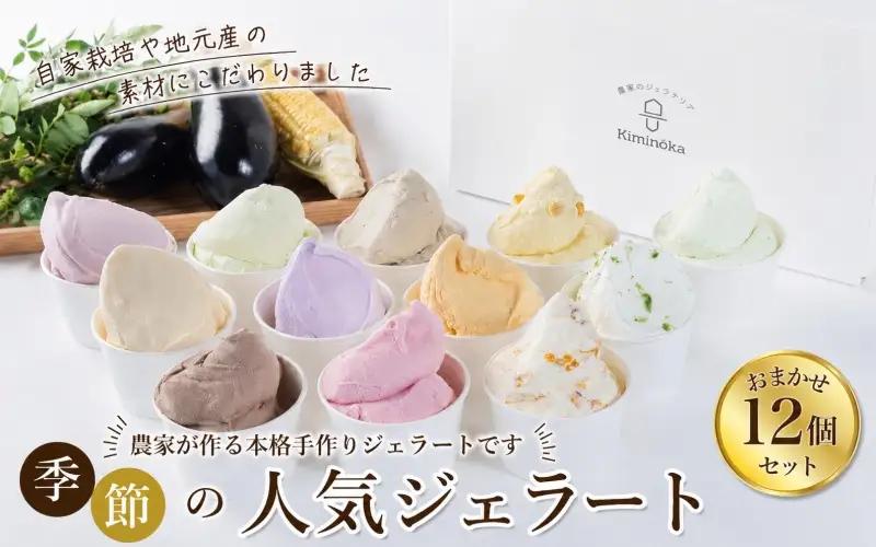 ジェラート セット 12個 12月発送 21000円 / キミノ―カ アイス クリーム スイーツ 野菜 果物【kmk105-dec-12】