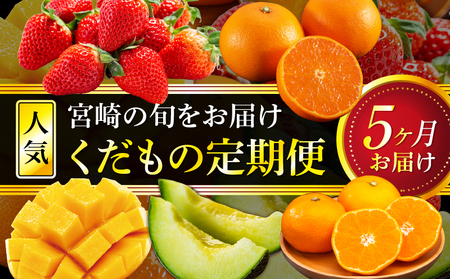フルーツ 定期便 フルーツ [人気 くだもの 果物 全5回]