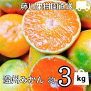 【ふるさと納税】2024年秋よりお届け 農園直送 フジカワ果樹園栽培の 温州みかん 約3kg　果物類・みかん・柑橘類・ミカン・温州みかん・約3kg・フルーツ　お届け：2024年10月上旬～12月中旬