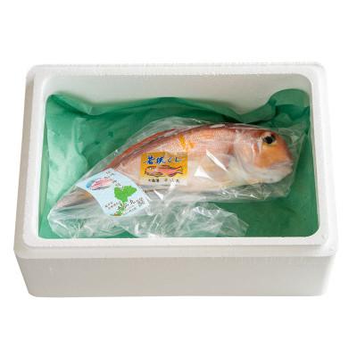 ふるさと納税 小浜市 若狭グジの一塩仕立て 700g×1尾