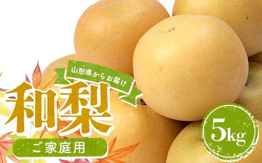 和なし 5kg 品種おまかせ ご家庭用 山形県 和梨 ナシ 果物 FSY-2635