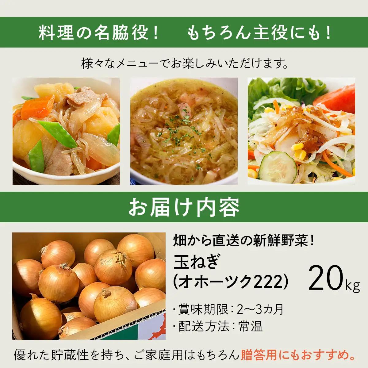 【順次配送】畑から直送の新鮮野菜！玉ねぎ（オホーツク222）20kg【a168-006-0】