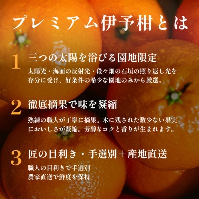 老舗農家が見極めたプレミアム【伊予柑5kg】【愛媛県川上産】【D70-95】【1671260】