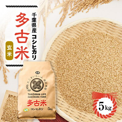 【ふるさと納税】新米【令和7年産】たこまいらいふ萩原農場の多古米コシヒカリ(玄米)5kg　【配送不可地域：離島・沖縄県】【1438049】