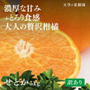 【ふるさと納税】【 訳あり 】 天空 の 果樹園 から届く　そら せとか ( 5kg )【C45-38】【1339378】