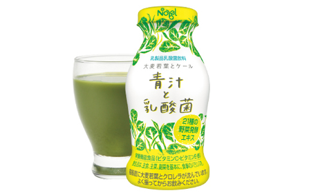 青汁と乳酸菌　12本セット【配送不可地域：離島】【1664199】