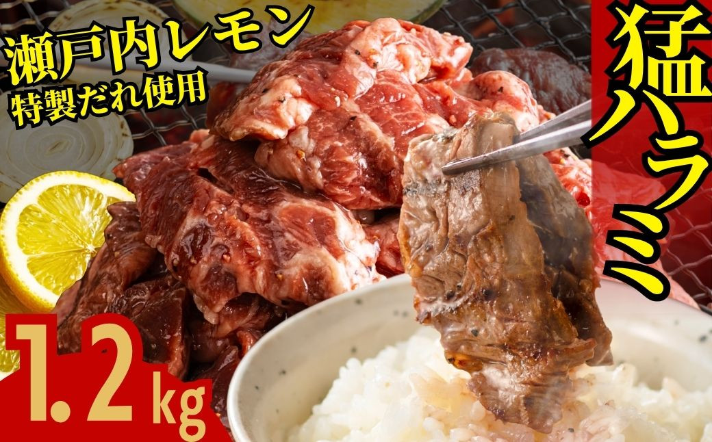 
            牛ハラミ 1.2kg(300g×4パック)  尾野精肉店の牛ハラミ瀬戸内レモン塩だれ ｜ 肉 訳あり 小分け 真空パック 冷凍 牛肉 ハラミ 瀬戸内 レモン 塩ダレ 広島県 竹原市　※離島への配送不可
          