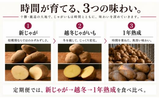 【数量限定】1年熟成　きたあかり　3kg 【ふるさと納税 人気 おすすめ ランキング おつまみ ジャガイモ じゃがいも 芋 いも じゃがバター コロッケ 野菜 北海道 鹿追町 送料無料】 SKAH00