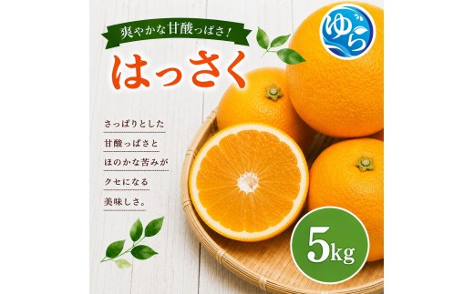 
                  和歌山県産 はっさく 5kg サイズおまかせ【eiw021-r-5】
                