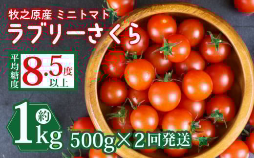 ミニ トマト フルーツ トマト ラブリーさくら うまたま 500g × 2回発送 計 1kg 国産 野菜 フルーツ 甘い 静岡県 牧之原市 山本農園