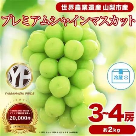 2026年発送 フルーツ王国山梨産 厳選 シャインマスカット 3～4房 (約2kg)_甘いシャインマスカット あまいシャインマスカット 美味しいシャインマスカット おいしいシャインマスカット 人気のシ