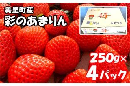 美里町産いちご4P【彩のあまりん】（250g以上×4パック）  [No.191]