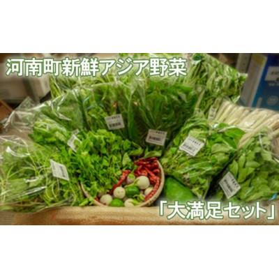 ふるさと納税 河南町 【12〜14種類】河南町新鮮アジア野菜「大満足セット」