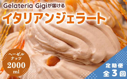 【定期便3回】 ジェラテリアGigi イタリアンジェラート ヘーゼルナッツ 2000ml ジェラート ヘーゼル ナッツ アイス gigi 業務用 2L スイーツ お取り寄せ グルメ 定期便 3回 ふるさと納税 北海道 恵庭【43005202】