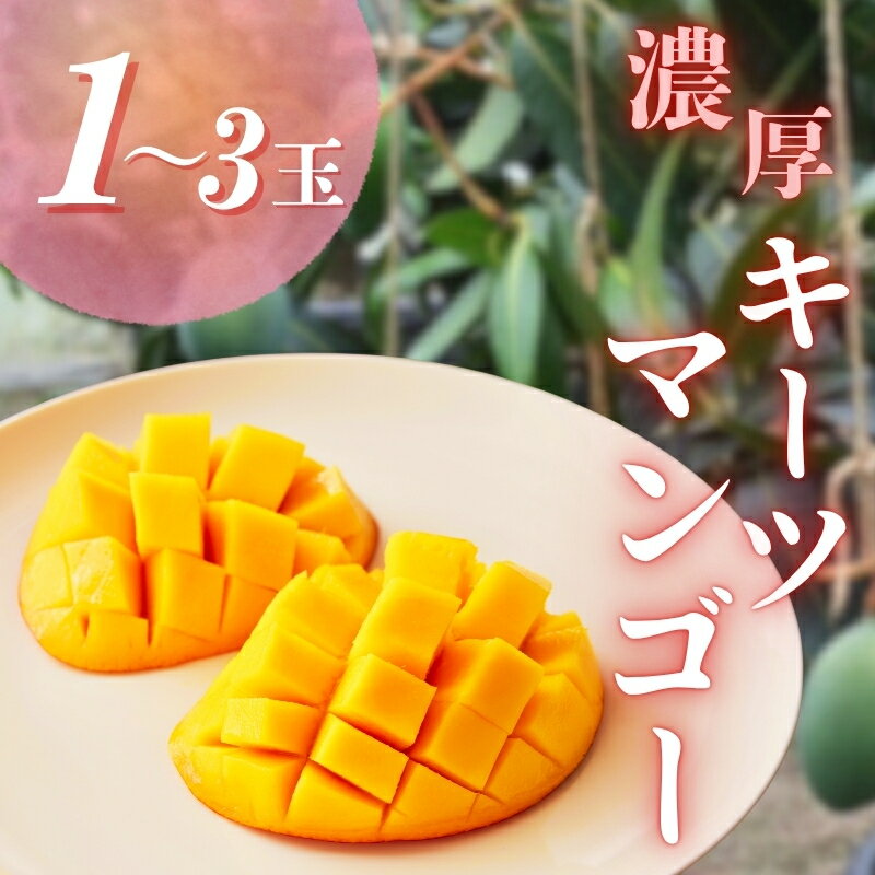 【ふるさと納税】 【 希少 マンゴー 】濃厚 キーツマンゴー ＼容量をお選びください／ ※2025年9月下旬〜10月下旬頃に順次発送予定