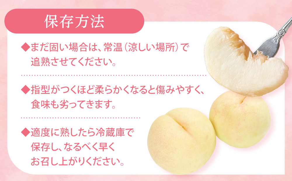 桃 2026年 ご家庭用 岡山 白桃  約2kg（5～10玉） もも モモ 岡山県 岡山市産 国産 フルーツ 果物