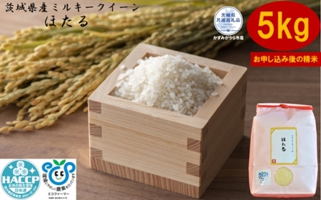 【令和7年度産】＼農家直送！出荷日精米／茨城県産 ミルキークイーン ほたる 5kg 茨城県共通返礼品 かすみがうら市産 米 お米 白米 こめ 精米 取り寄せ 特産 ごはん ご飯 コメ お取り寄せ ギフト 贈り物 お弁当 弁当 おにぎり ふっくら ツヤツヤ 甘い 農家直送 産地直送 国産 茨城県産