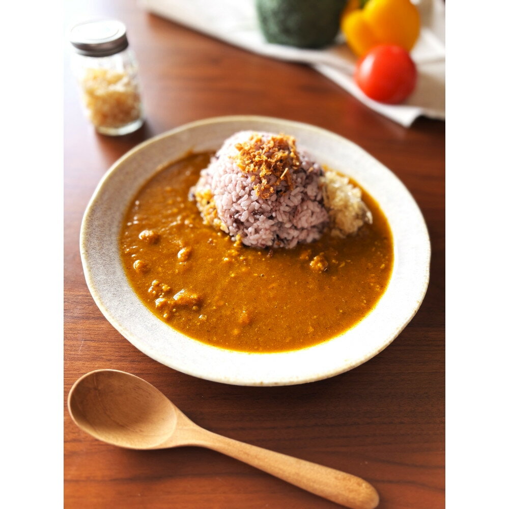 【ふるさと納税】とりとるキッチンのスパイスカレー