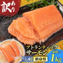 【ふるさと納税】 訳あり サーモンブロック 1kg 800g 400g 冷凍 刺身 鮭 サーモン さーもん 切り身 フィレ 生食 生食用 お刺し身 魚介 海鮮 お魚 魚 サーモン 美味しいサーモン 不揃い サーモンカルパッチョ サーモン料理 惣菜 おかず 夕食 理由あり わけあり 下関 山口