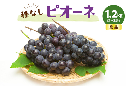 ぶどう ( 種なし ピオーネ ) 約 1.2kg フルーツ 果物 山形 08-06-015