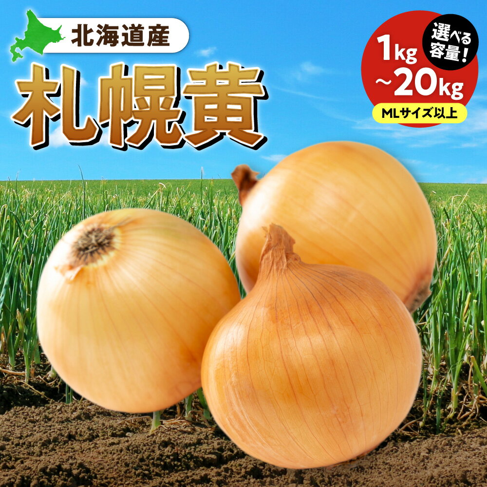 【ふるさと納税】北海道産 札幌黄 玉ねぎ 【 選べる 容量 】MLサイズ 1kg 2kg 5kg 10kg 20kg 野菜 玉葱 オニオン たまねぎ 国産 お取り寄せ 北海道 札幌市