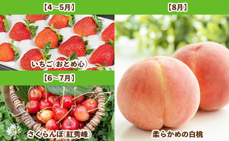 【定期便5回】山形人気果実ベスト５ FY25-284