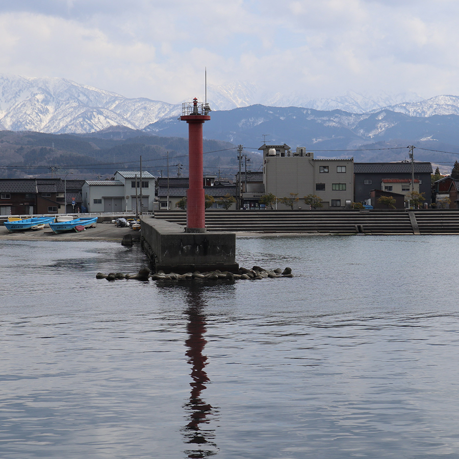 ＜浜浦水産＞富山湾産ほたるいか素干詰合せ