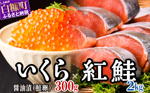 醤油漬鮭いくら 300g(100g×3パック)×紅鮭切り身【2.0kg】 小分け 国産 極上品 いくら醤油漬 いくら醤油漬け イクラ醤油漬け ikura 魚介類 魚介 海鮮 ごはんのお供 おかず 白米 魚卵 極上 プチプチ食感 新鮮 ギフト ふるさと納税