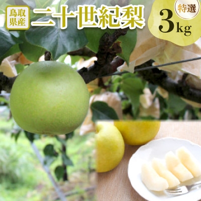 
                  二十世紀梨 特選3kg【1733753】
                
