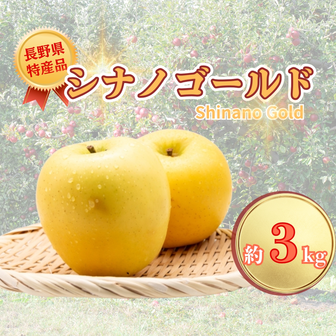 【2026年先行予約】シナノゴールド 約3kg｜ 果物 フルーツ リンゴ 林檎 シナノゴールド 千曲市 長野県 信州