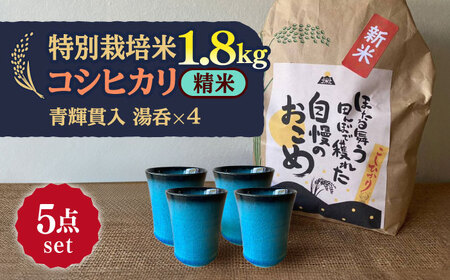 先行予約 【令和6年産新米】 精米 コシヒカリ 特別栽培米 （1.8kg）+ 【美濃焼】 青輝貫入 湯呑 （4個） 【山松加藤松治郎商店】[TEU057]