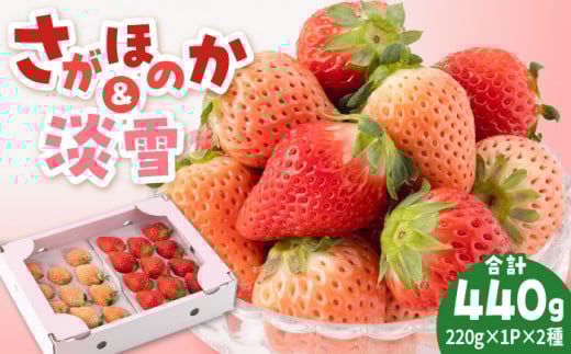 【先行予約】【農家直送】淡雪＆さがほのか赤白いちごセット各220g【岸川農園】 いちご 苺 イチゴ あわゆき 淡雪 淡雪いちご ほのか さがほのか しろいちご 白苺 しろ 白 フルーツ 果物 甘い あまい  アフター対応 アフターフォロー 期間限定 産地直送 国産 佐賀県産 さがいちご 九州 佐賀県 白石町 [IAP007]