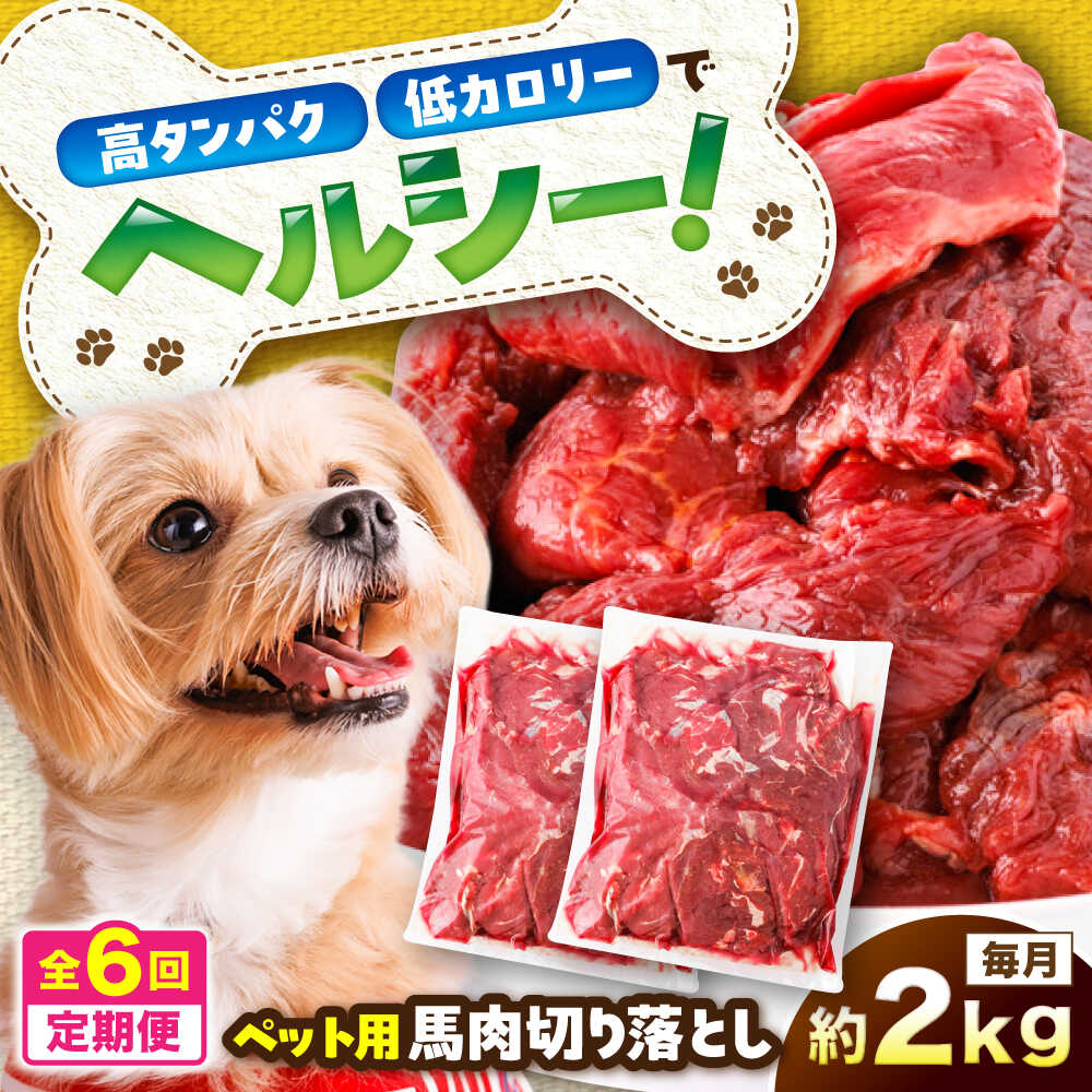 【ふるさと納税】【全6回定期便】国内加工 ペット用 馬肉 切り落とし 約2kg(約1kg×2) / ペットフード ドッグフード 愛犬 馬肉 生食 加熱 ペット用 【五右衛門フーズ】[BHCY059]