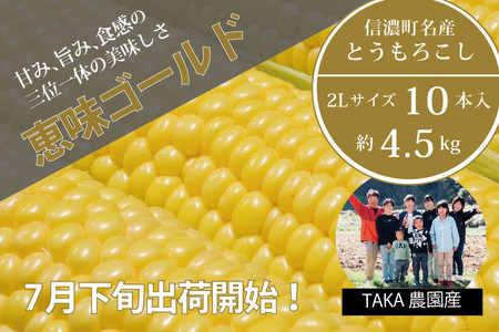 【8月24日申込み締切！】信濃町名産とうもろこし『TAKA農園の恵味（めぐみ）ゴールド』２Lサイズ（1本450ｇ相当）×10本セット、約4.5kg／スイートコーンの人気品種、現在出荷中！  2024年7月下旬から8月下旬まで随時出荷予定【長野県信濃町ふるさと納税】