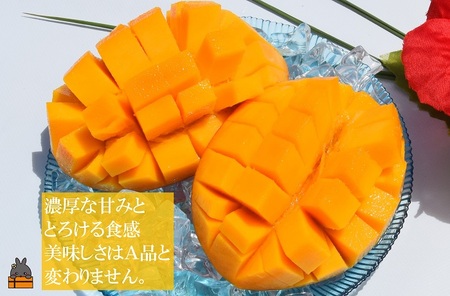 ≪今が旬！≫訳あり！【家庭用】徳之島産完熟マンゴー1kg（2～3玉）( マンゴー フルーツ わけあり 訳あり 訳有 果物 完熟 無加温 徳之島 世界自然遺産 美味しい とろける 旬 贅沢 糖度 南の島