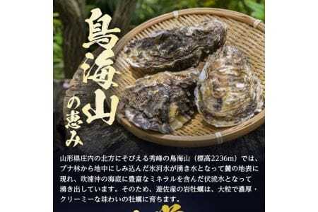天然岩牡蠣 約1kg 3～5個入 殻付き 山形県遊佐町吹浦産 6月上旬～8月下旬頃お届け 冷蔵便 ※着日指定・離島（沖縄県を含む）発送不可 カキ かき 岩かき お取り寄せ 日本海 東北 庄内 鮮魚 新