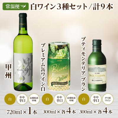 ふるさと納税 笛吹市 白ワイン 3種 9本 飲み比べ ボトル1本・缶2種8本 モンデ酒造 山梨県 笛吹市 |  | 03