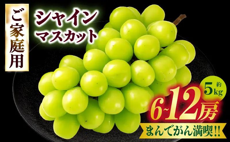 まんでがん満喫‼　ご家庭用シャインマスカット　約5kg | シャインマスカット マスカット ぶどう ブドウ 葡萄 果物 フルーツ 新鮮 くだもの 国産 ギフト お裾分け 旬 人気 種なし 皮ごと食べられる ジューシー 糖度が高い 季節限定 おすすめ 旬の果物 香川 香川県 三木町 ご家庭用 訳あり |_mk006-153