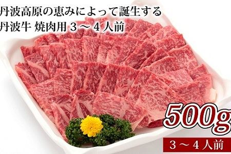 丹波牛 焼肉用 500g 3~4人前 国産和牛 ( 国産牛 焼肉 丹波牛 焼肉 赤身 焼肉 霜降り 焼肉 焼肉500g 焼肉3~4人前 京都 焼肉 京丹波町 焼肉 京丹波 焼肉) [025IZ001]