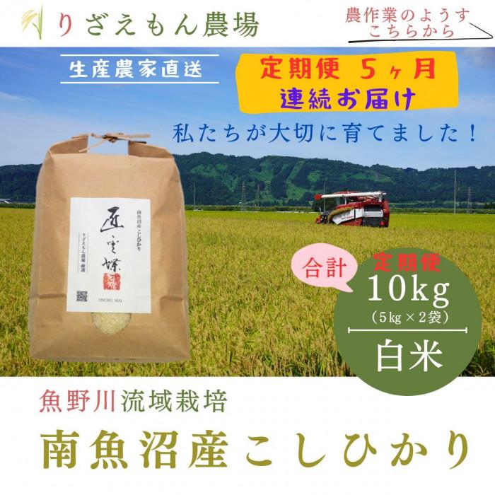 【ふるさと納税】《新米予約受付》【定期便5回×10kg《合計50kg》】令和7年産　南魚沼産コシヒカリ　白米 10kg　　＼生産農家直送／【2025年10月上旬より順次発送予定】 | お米 こめ 白米 コシヒカリ こしひかり 食品 人気 おすすめ 送料無料 魚沼 南魚沼