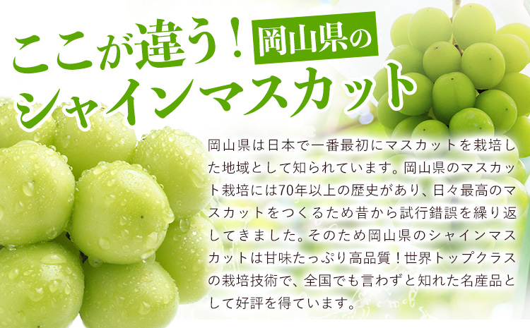 フルーツ 厳選 晴れの国定期便 シャインマスカット 2kg 白桃 1.3kg 2回 お届け 定期便 《ページ内記載の時期に発送》 果物 マスカット 桃 岡山県 笠岡市---kasaoka_zsytei