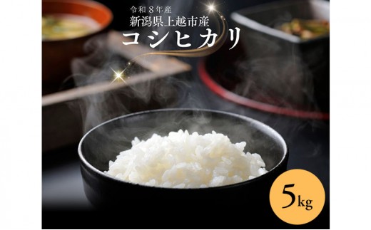 
                  令和8年産 先行予約 新潟県 上越市産 コシヒカリ 5kg 5キロ こしひかり 新米 田中善大 
                