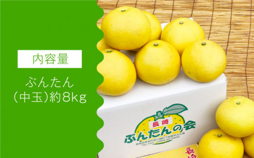 【数量限定】ぶんたん 中玉 約8kg 【長崎ぶんたんの会】 [OAF002] / 完熟 贈り物 ギフト ミカン 柑橘 果物  文旦