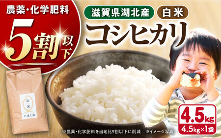【令和7年産新米】減農薬米 近江米 湖北のコシヒカリ 白米4.5kg[AQAK002] 白米