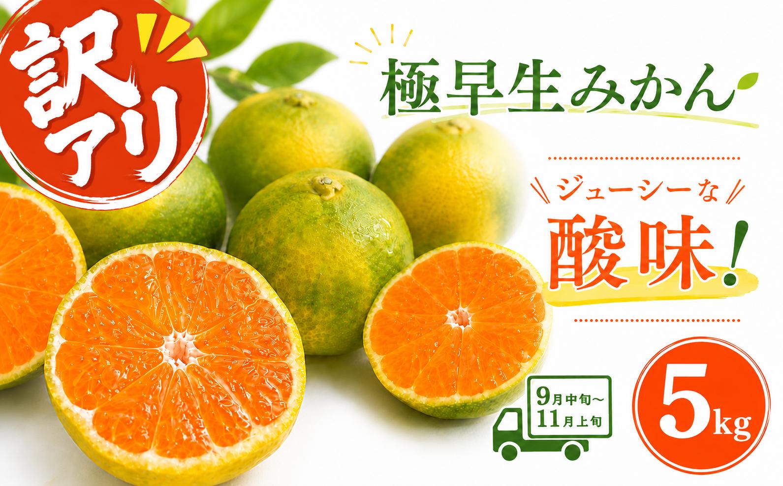 
                  【先行予約】訳アリ 極早生みかん 5kg | 温州みかん みかん 蜜柑 ミカン 柑橘 緑のみかん 酸っぱい 酸味 不揃い 訳あり 家庭用 秋の味覚 旬 ごくわせ フルーツ 果物 くだもの 産地直送 数量限定 期間限定 国産 高知県 室戸市
                