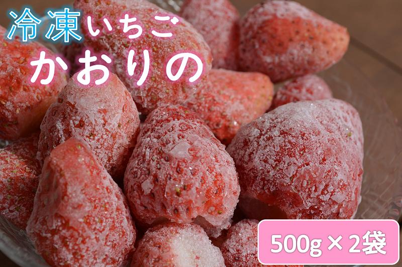 苺 いちご 長門産 冷凍いちご 1kg 500g×2袋「かおりの」フルーツ (1019)
