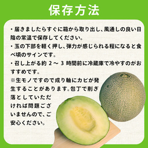 【 2026年 先行予約 】 訳あり タカミ メロン 約5.5kg 青肉【 メロン 】